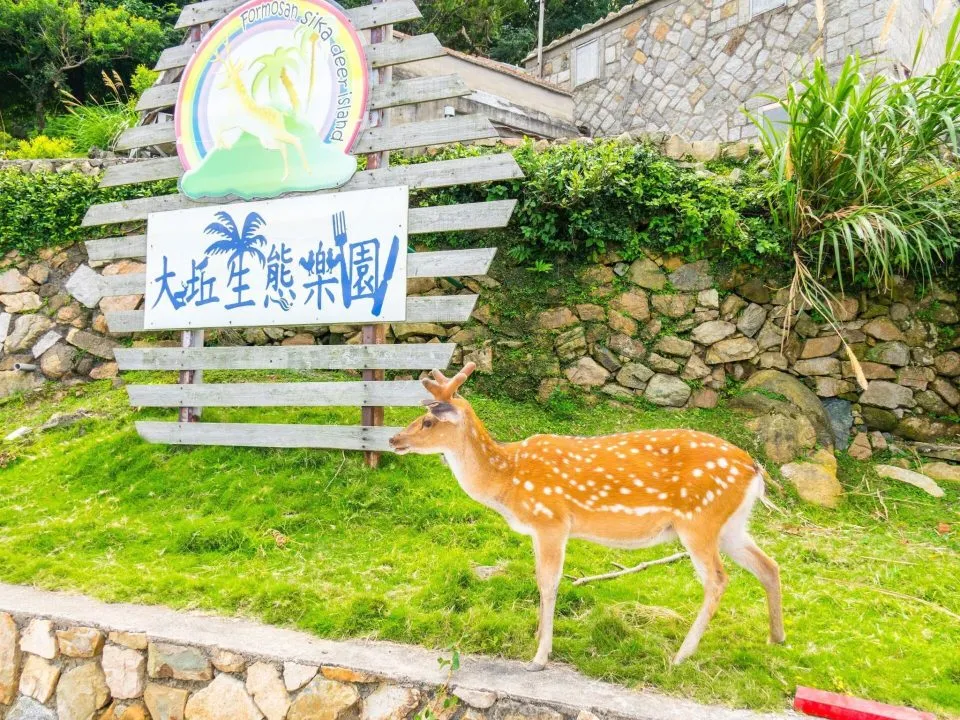 大坵島 24 - Travel of Rice 小米遊記 dsc05711-1