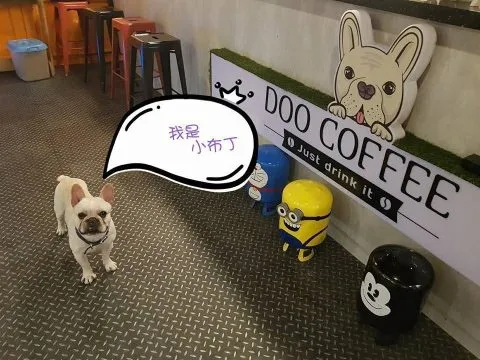 DooCoffee景觀咖啡廳03.jpg