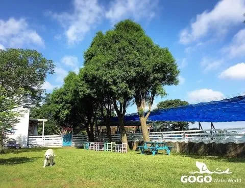 GoGo WaterWorld狗狗水世界 狗狗半島酒店 14 - Travel of Rice 小米遊記 gogo2bwaterworld_25e8258b259725e625a02597_04-1