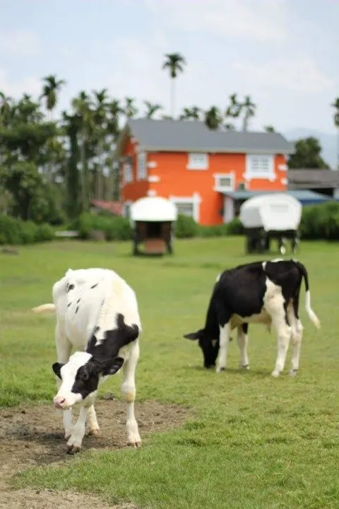 25e725b625a025e7259b258825e7258925a725e525a025b4_25e52598258925e725be25a9_04