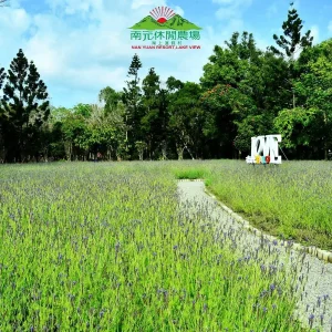 南元花園休閒農場 9 - Travel of Rice 小米遊記