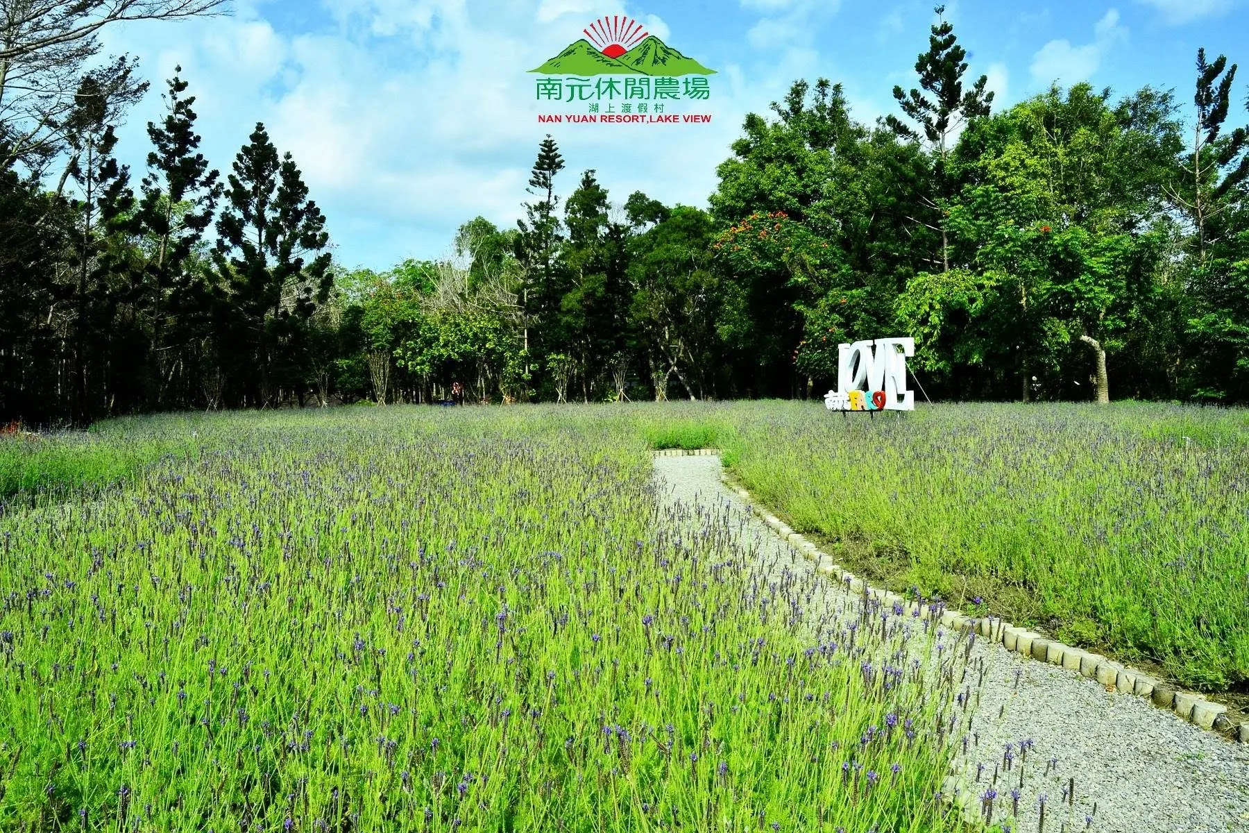 南元花園休閒農場 10 - Travel of Rice 小米遊記 南元花園休閒農場 7 - Travel of Rice 小米遊記