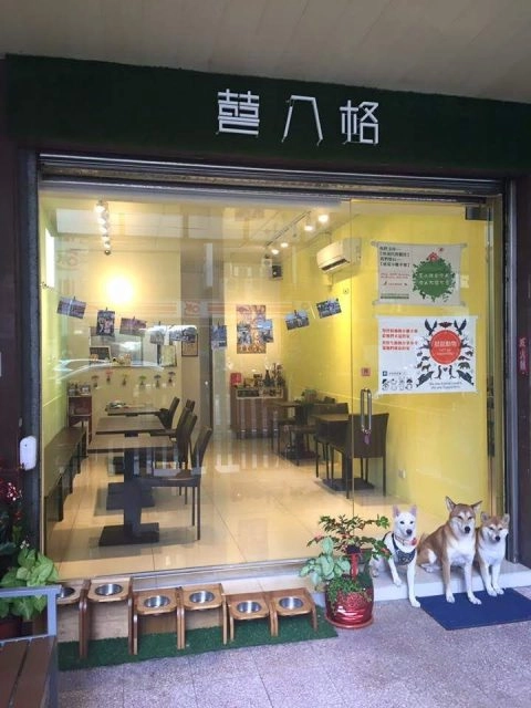 囍八格寵物餐廳Shiba×Burger 51 - Travel of Rice 小米遊記