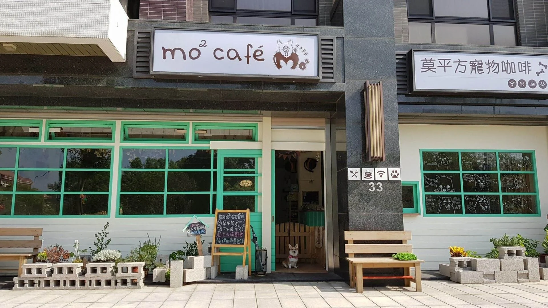 莫平方寵物咖啡mo² caf'e 8 - Travel of Rice 小米遊記