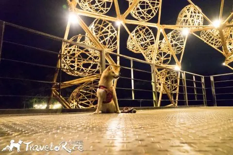 dsc00177-3