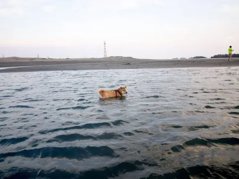 dsc00215