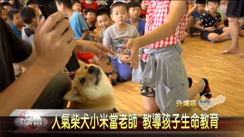 小米生命教育示範如何與狗狗互動