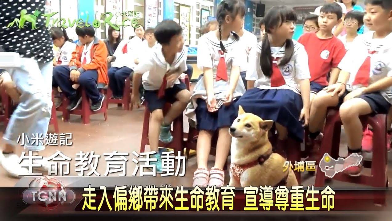 小米遊記寫真書推動寵物有善環境