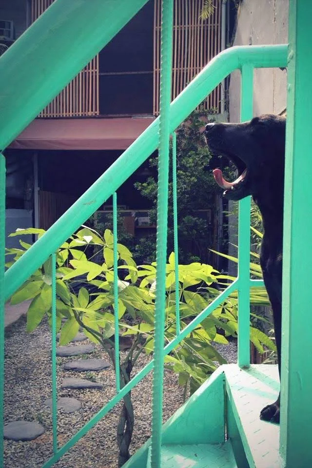 SUMU小宿 1 - Travel of Rice 小米遊記