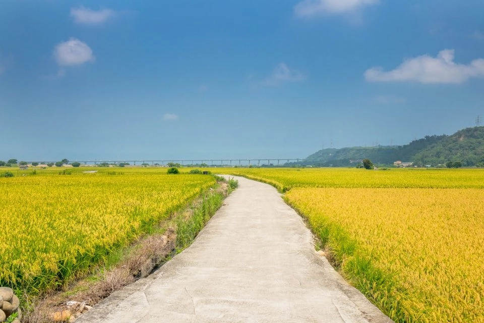 外埔忘憂谷 8 - Travel of Rice 小米遊記