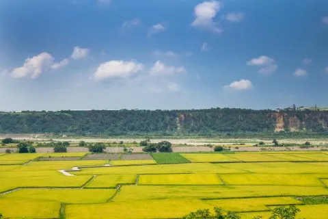 外埔忘憂谷 19 - Travel of Rice 小米遊記 外埔忘憂谷 15 - Travel of Rice 小米遊記