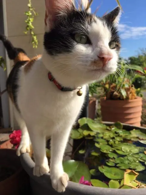 25e6259d258e25e8258e258e_25e525b1258f25e6259d25b1_02