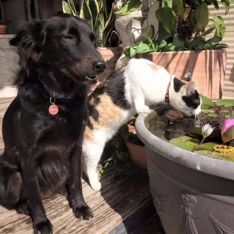 25e6259d258e25e8258e258e_25e525b1258f25e6259d25b1_03