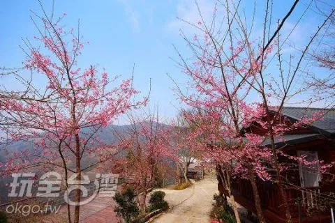 沄峰_桃園_03.jpg