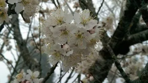 沄峰_桃園_10.jpg