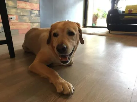 25e7258e25a525e625b92596_25e5258d259725e6258a2595_05