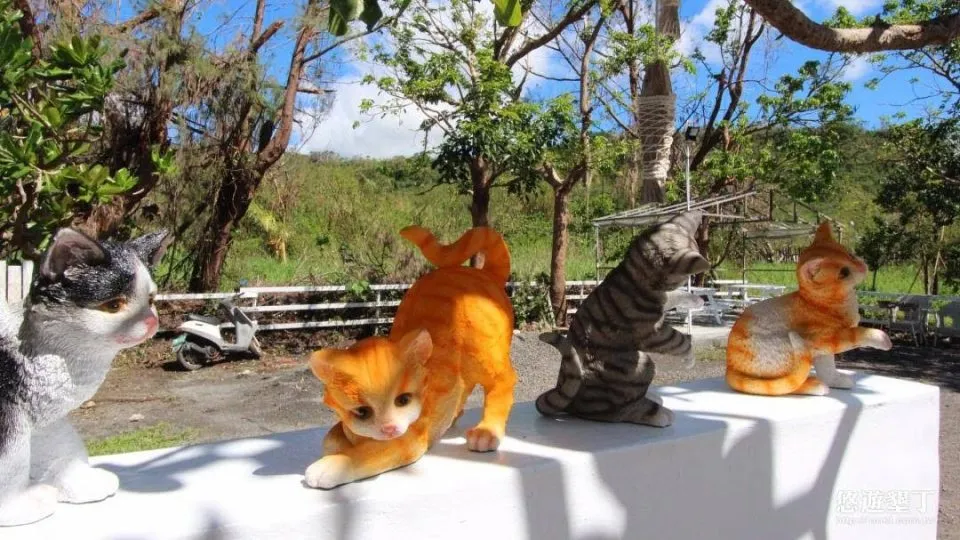 貓兒散散步_屏東_03.jpg