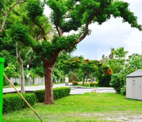 鐵花一宿 16 - Travel of Rice 小米遊記 鐵花一宿_台東_05.jpg