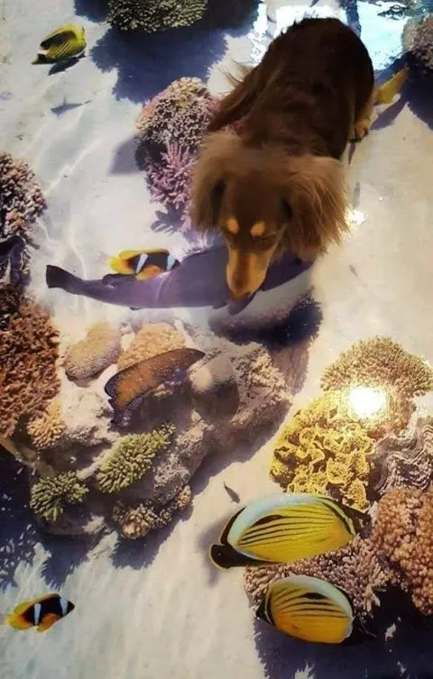 3d創意_屏東_04.jpg