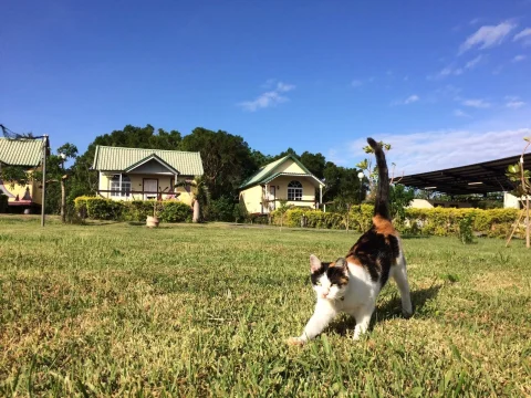 李莎小鎮 7 - Travel of Rice 小米遊記