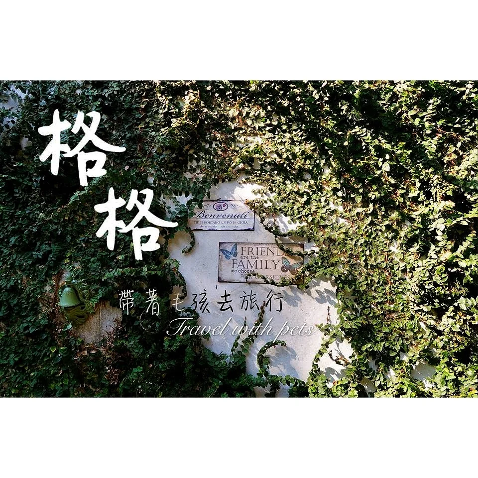 格格民宿 11 - Travel of Rice 小米遊記