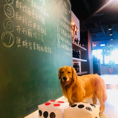 4F小飯館 3 - Travel of Rice 小米遊記