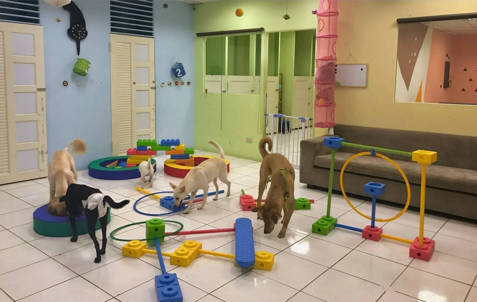 堤柇Tiere Pet Hotel寵物住宿人文咖啡 6 - Travel of Rice 小米遊記