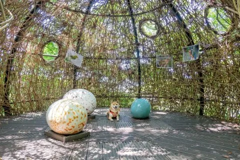 鳥窩森林教室 14 - Travel of Rice 小米遊記 DSC00020.jpg