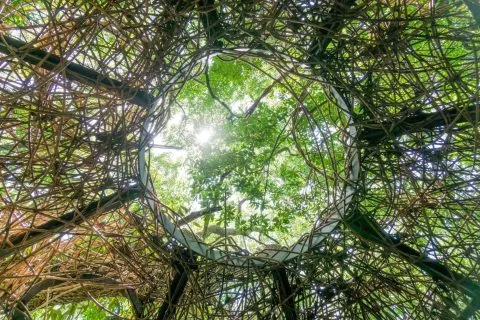 鳥窩森林教室 15 - Travel of Rice 小米遊記 DSC00028.jpg