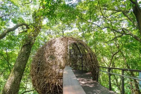 鳥窩森林教室 18 - Travel of Rice 小米遊記 DSC00046.jpg