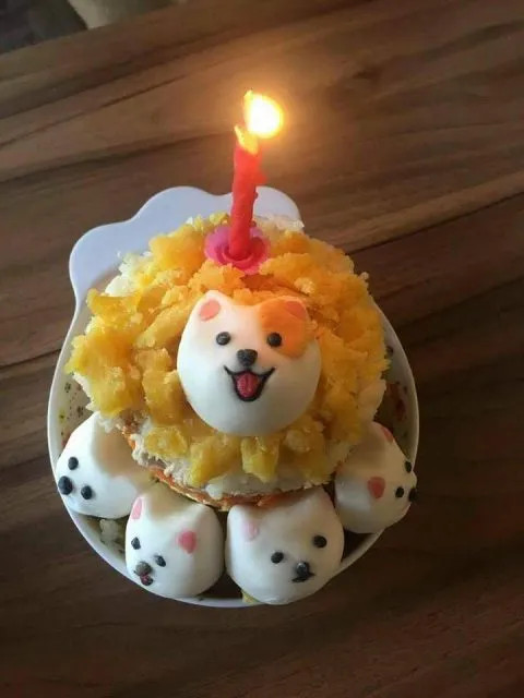 GoGo Coffee饗食樂園 25 - Travel of Rice 小米遊記 GoGo Coffee_新北_09.jpg