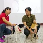 龍井國中/台中龍井 47 - Travel of Rice 小米遊記 龍井國中/台中龍井 46 - Travel of Rice 小米遊記