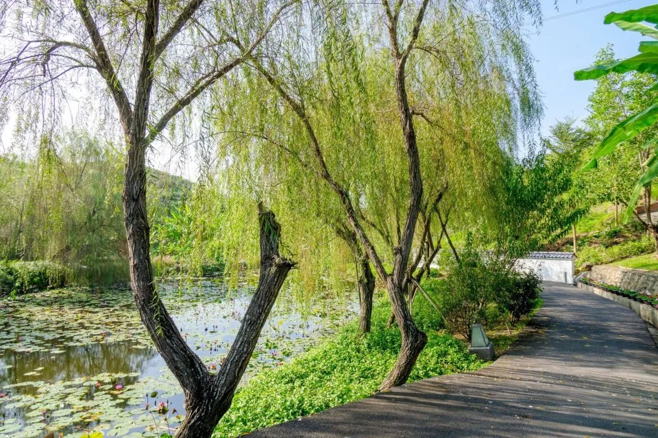dsc00067-2