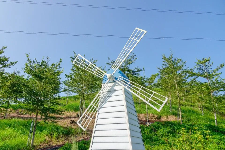 dsc00102-6