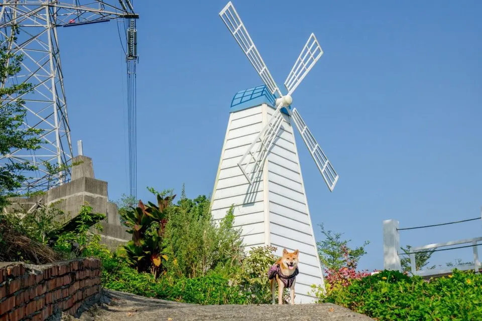 dsc00104-6