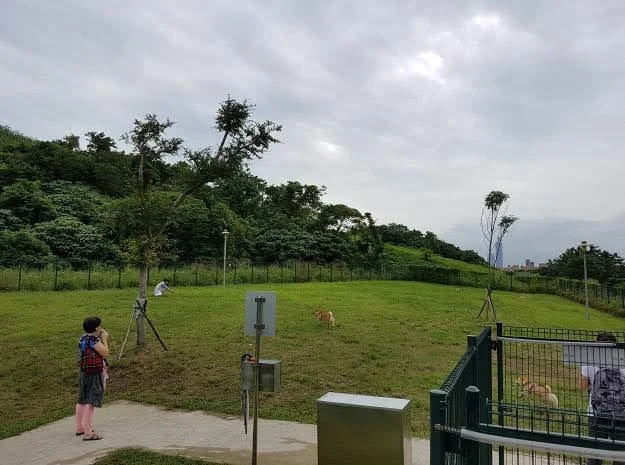 潭美毛寶貝快樂公園 11 - Travel of Rice 小米遊記
