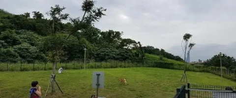 潭美毛寶貝快樂公園 12 - Travel of Rice 小米遊記
