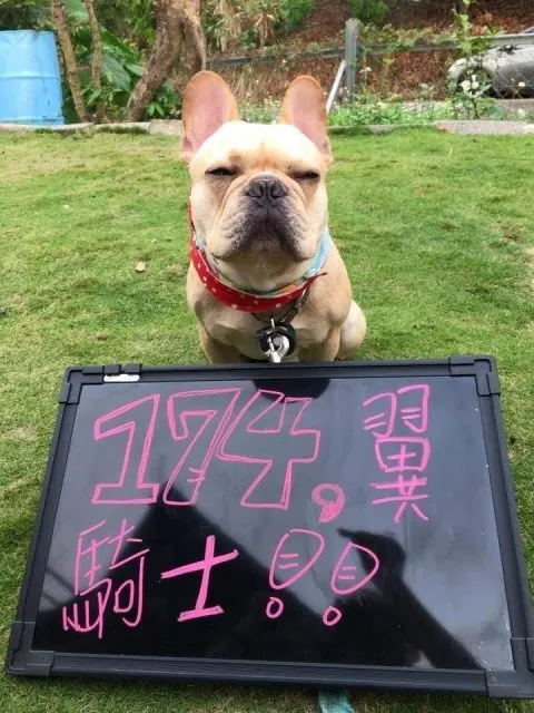 174翼騎士驛站 23 - Travel of Rice 小米遊記 174翼騎士_台南_07.jpg