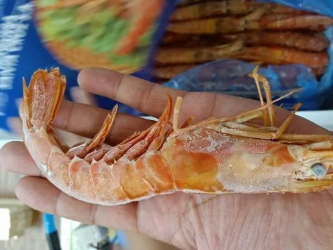 台中楊大腸蚵仔蝦仁麵線(桃園中正店) 13 - Travel of Rice 小米遊記 台中楊大腸蚵仔蝦仁麵線_桃園_04.jpg