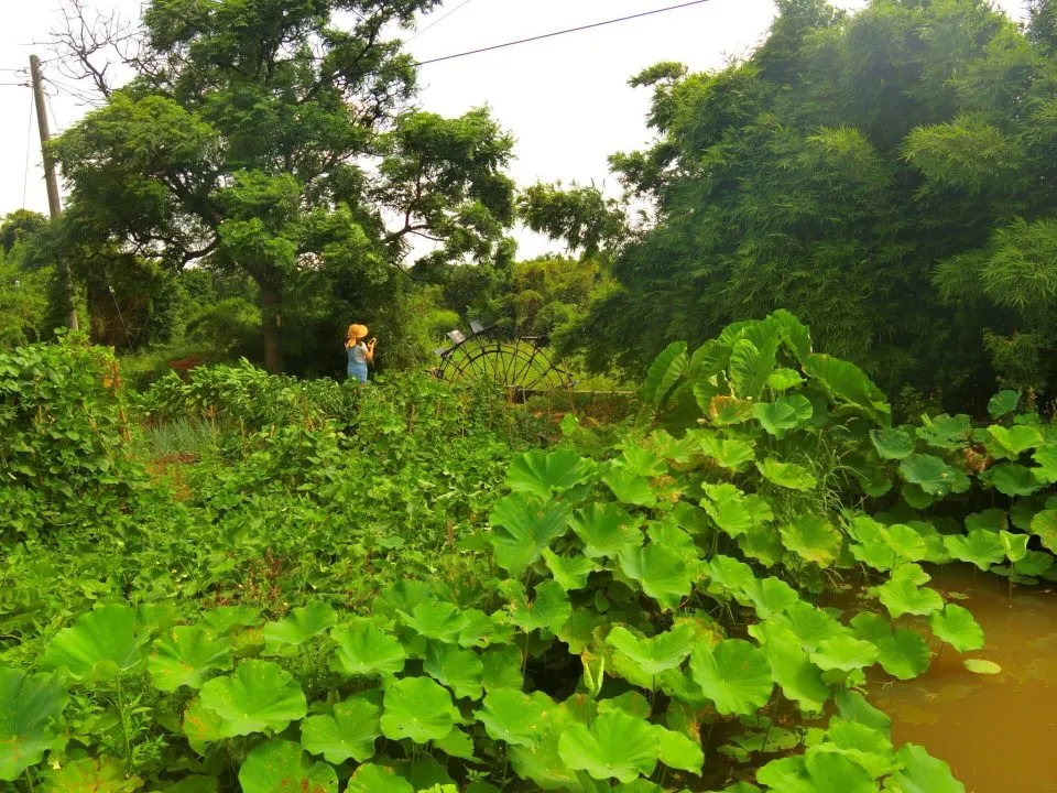 林家古厝_桃園_05.JPG