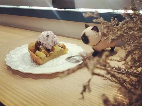 棲木咖啡_新北_06.jpg