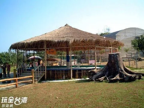 獨角仙_嘉義_07.jpg