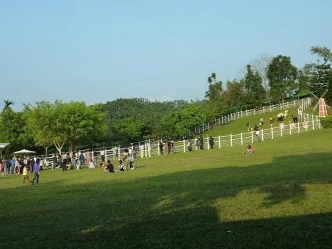 獨角仙_嘉義_12.jpg