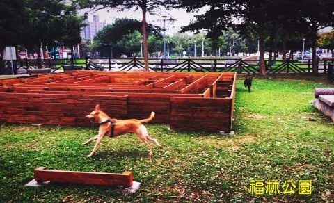 福林公園 11 - Travel of Rice 小米遊記 25e725a6258f25e6259e259725e5258525ac25e5259c2592_25e625a1258325e5259c2592_03