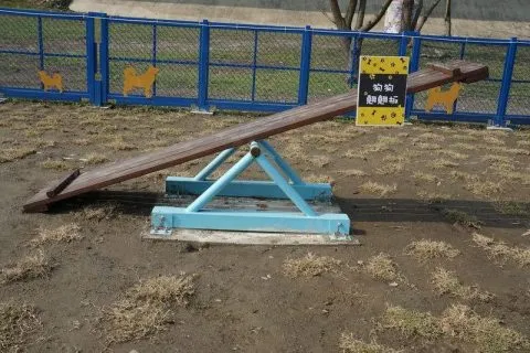 竹東狗狗公園_新竹_04.jpg