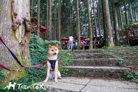 dsc00007-4