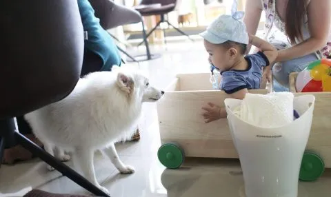 Little Monster小怪物狗咖啡廳 15 - Travel of Rice 小米遊記 little2bmonster_25e525bd25b025e5258c2596_07-1