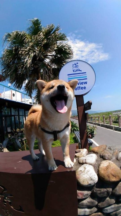 灆咖啡 Seaview Coffee