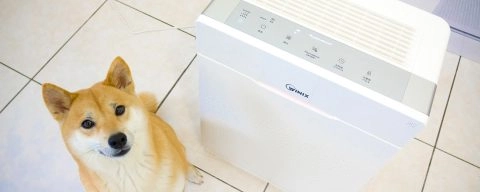 WINIX寵物友善有獎徵答 9 - Travel of Rice 小米遊記