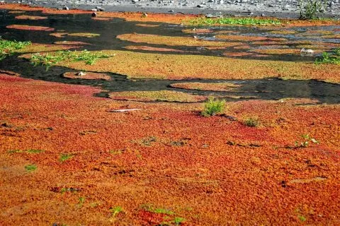 dsc00081_2-1